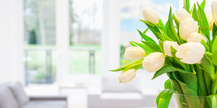 White tulips in a vase in a living room