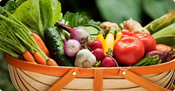Basket of vegetables including carrots, tomatoes, radishes, and cucumbers