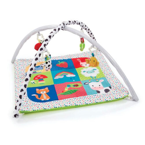 Blossom Farm Activity Playgym