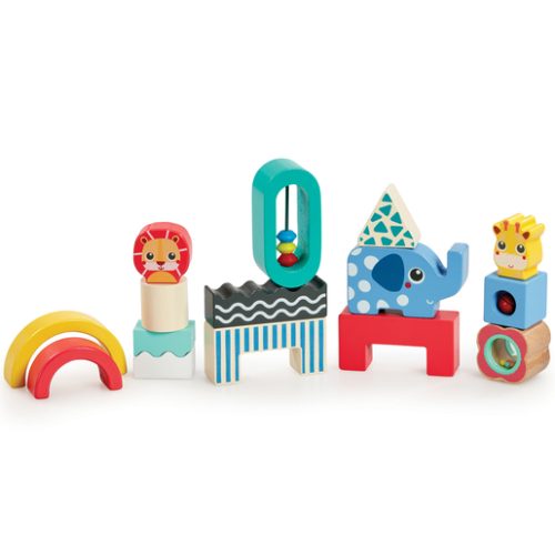 Early Learning Centre Wooden Activity Blocks Playset
