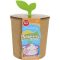 Soft Sprouts Mini Collectible Plush Blind Box (Styles Vary)