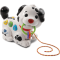 VTech Baby Pull Along Puppy Pal