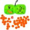 Tomy 5 Up Push Your Luck Dice Game (Styles Vary)