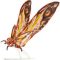 Godzilla x Kong The New Empire Giant Mothra 28cm Action Figure