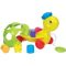 Fun Time Shape Turtle