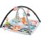 “Fisher-Price 3-in-1 Music, Glow and Grow Gym Play Mat”