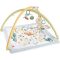 Fisher-Price Simply Sense Newborn Gym Playmat