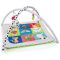 Blossom Farm Activity Playgym
