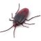 Robo Alive ‘Glow in the Dark’ Crawling Cockroach by ZURU – Brown