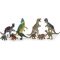 Awesome Animals Dinosaur Figurine Collection