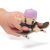 Tech Deck Sk8 Crew Fingerboard with Figure (Styles Vary)