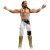 WWE Seth Freakin Rollins Action Figure